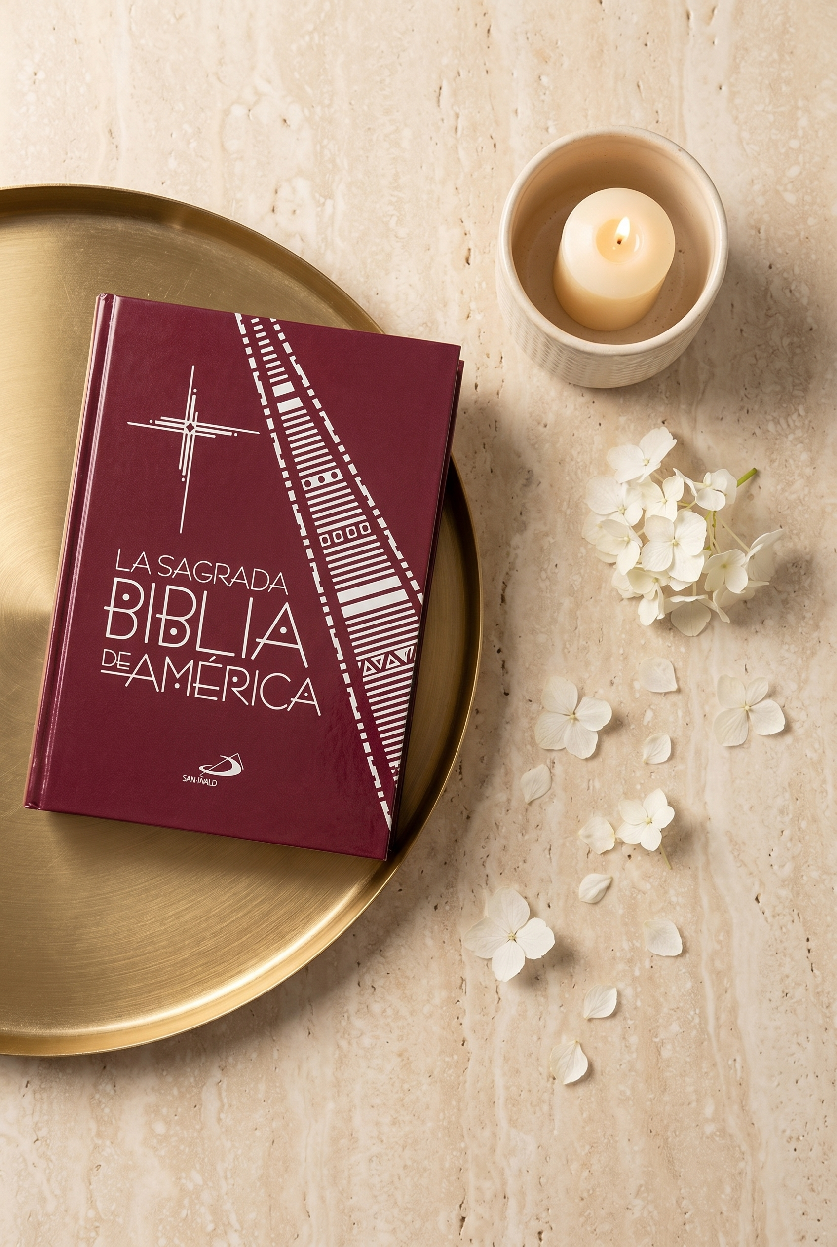 Sagrada Biblia America Campaña - vista 3